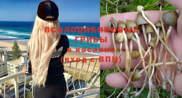 каннабис Покачи