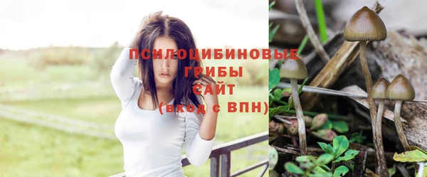 каннабис Покачи