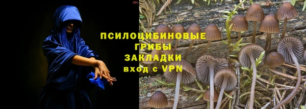 spice Абинск