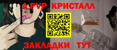 прущие грибы Обнинск