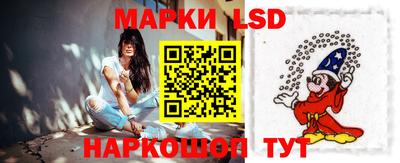 прущие грибы Обнинск