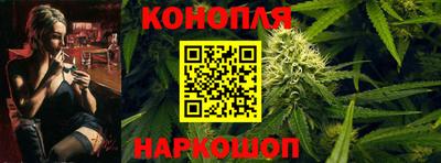 прущие грибы Обнинск