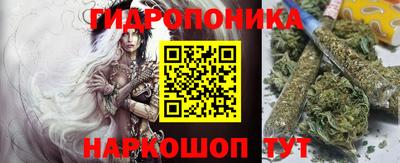 прущие грибы Обнинск