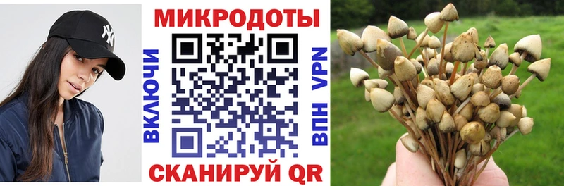 даркнет сайт  Рославль  Псилоцибиновые грибы Magic Shrooms 