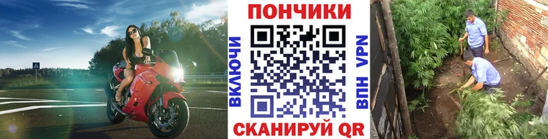 Конопля ГИДРОПОН  дарк нет официальный сайт  Рославль  купить наркоту 
